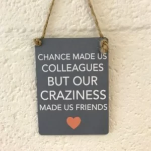 Grey mini metal sign with the quote “Chance made us colleagues but our craziness made us friends” hanging on a wall with jute string.