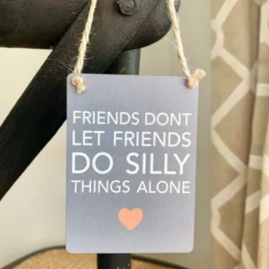 Grey mini metal sign with quote “Friends Don’t Let Friends Do Silly Things Alone” and small heart detail