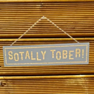Grey rectangular wooden sign with gold text reading “Sotally Tober!”, hanging by jute rope against a wooden background.