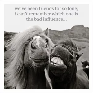 Funny horse friendship greeting card with two horses pulling faces and quote: ‘We’ve been friends so long, I can’t remember which one is the bad influence’.