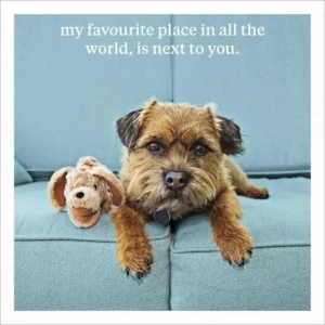 Greeting card with dog and toy design – “My favourite place in all the world, is next to you.”