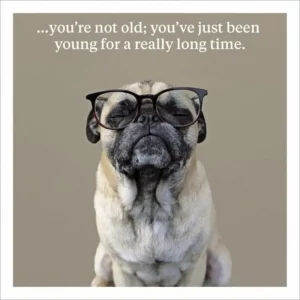 Funny pug birthday card with glasses and slogan “You’re not old; you’ve just been young for a really long time.”